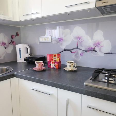 Apartman Teo &Tena Otocsán Kültér fotó